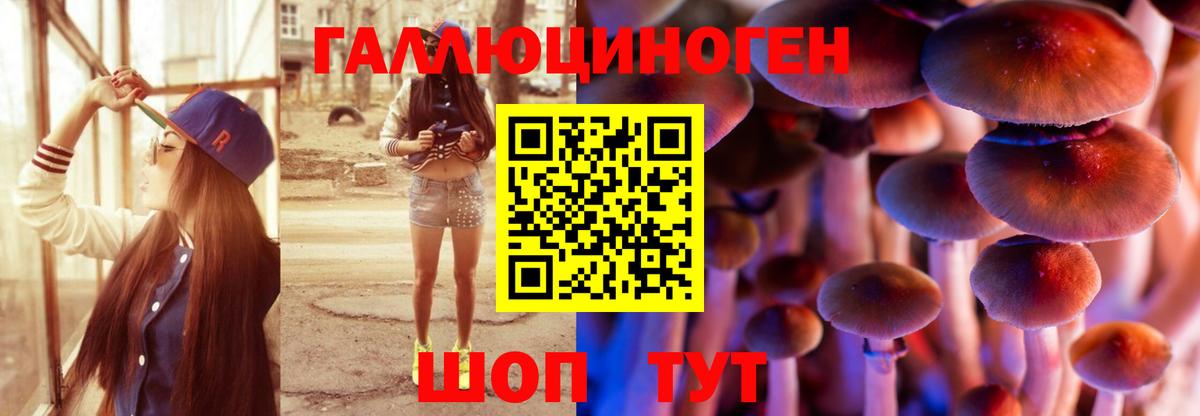Кирово-Чепецк  Псилоцибиновые грибы Cubensis  где купить наркотик  Вход с VPN 